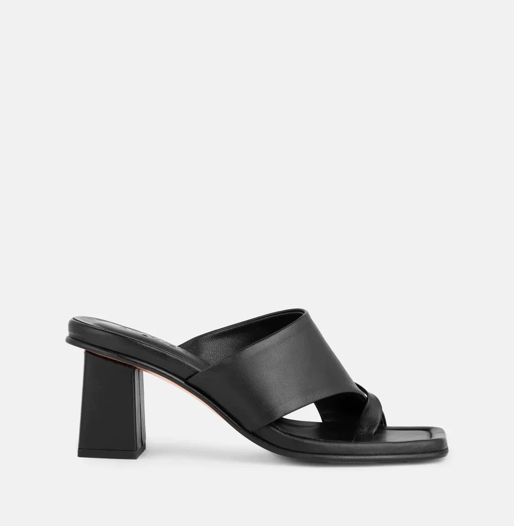 IvyLee Cocco Black Hunter Store
