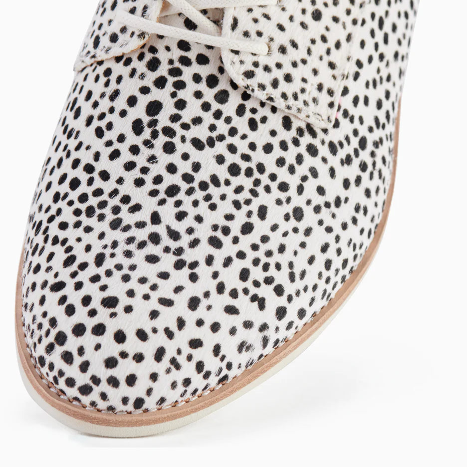 Rollie 2025 snow leopard